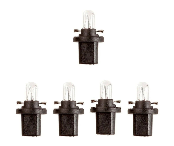 509T dashboard panel light bulbs 12V-1.2W for speedo dial and dash lights in cars and vans