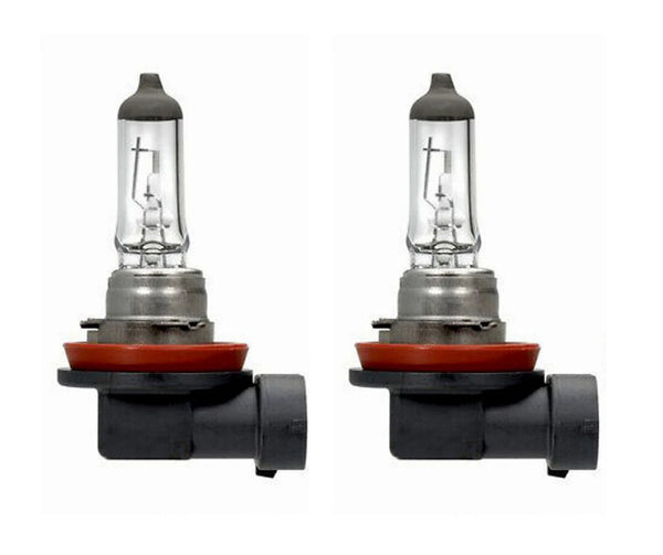 H8 708 Halogen Headlight Bulbs